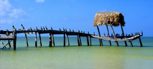 tourisMexico Holbox Island