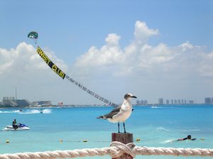 Cancun Gaviota Azul Beach